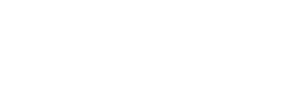 NEW-LOGO-LIT-2025-white